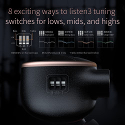 FiiO FH5s 2BA+2DD Dört Sürücü Hibrit Kulak İçi HiFi Stereo Kulaklık