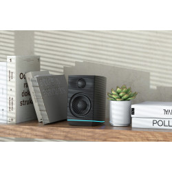 FiiO SP3 ile Güçlendirilmiş HiFi Aktif Masaüstü Hoparlörler