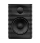 FiiO SP3 ile Güçlendirilmiş HiFi Aktif Masaüstü Hoparlörler
