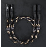 Fiio LX-XLR4L Audio cable XLR male to XLR female