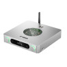FiiO K13 R2R Desktop DAC & Headphone Amplifier (Silver)