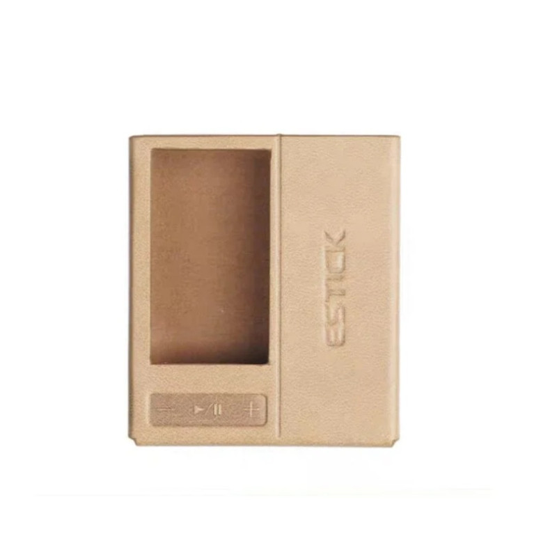 FiiO SK-EStick + QX13