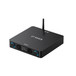 FiiO BR15 R2R...