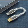 iBasso Audio CB18L Ibasso Ses Kablosu, OTG Kablosu,  Taşınabilir OTG Uyumlu Kablo, Android/iOS/Lightning to Type- C