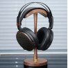Fiio HS21 Kulaklık Standı